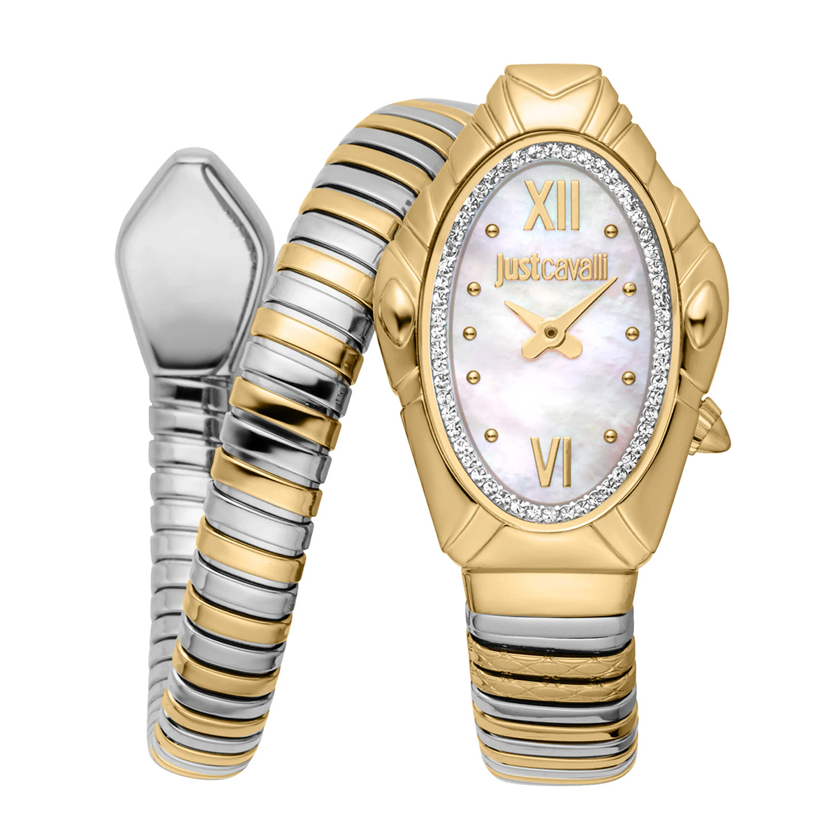 MONTRE JUST CAVALI FEMME SIMPLE ACIER